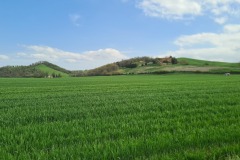 Asciano