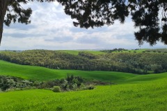 Buonconvento