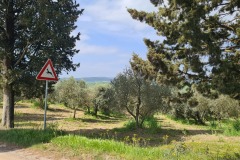 Buonconvento