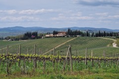 Montalcino