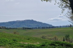Montalcino