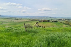 Montalcino