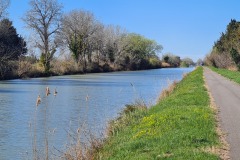 La canal du Rhône à Sète