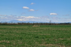 Le Ventoux eneigé