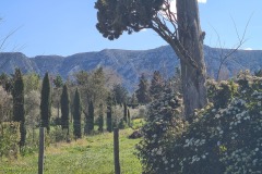 Les Alpilles