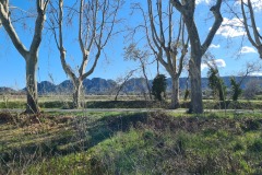 Les Alpilles