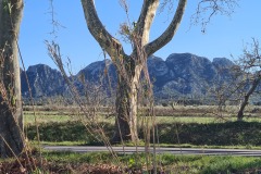 Les Alpilles