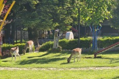 20240513_082125