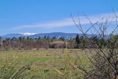 Le Mont Ventoux à la sortie de Cavaillon