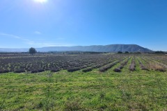 Le Petit Luberon