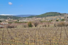Toujours le Mont Ventoux