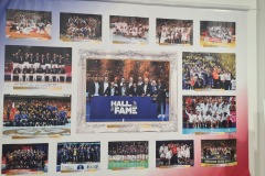 Exposition Michaël Guigou