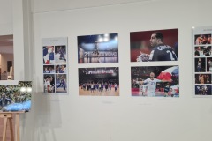 Exposition Michaël Guigou