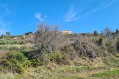 Saint Martin de Castillon