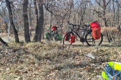 Picnic