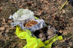 Picnic préparé par Christine