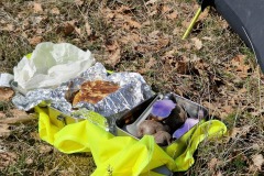 Picnic préparé par Christine