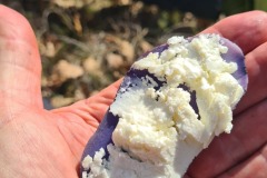 Pommes de terre et fromage de brebis