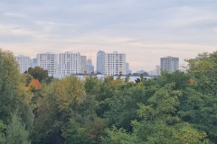 20241015_114345
