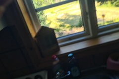 20240816_165432