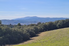 Le Luberon (Mont Nègre)