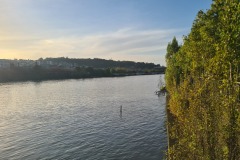20241016_091220