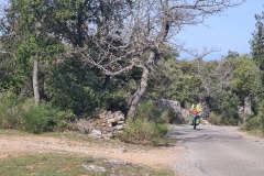 Près de Saint Julien le Montagner