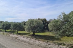 Près de Saint Julien le Montagner