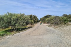 Près de Saint Julien le Montagner