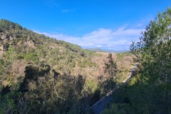 Les collines du Var