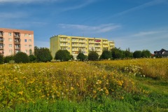 20240802_080956