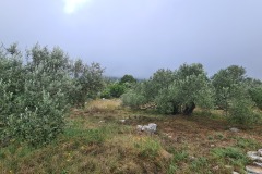 20240602_095237