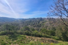 La vue du Tignet après avoir échappé à la D562/D2562