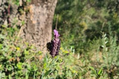 Picnic avec vue sur mer