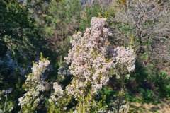 Picnic avec vue sur mer