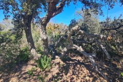 Picnic avec vue sur mer