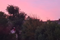 20241020_080512