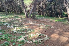 Cimetière mususlman