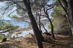 Ile Sainte Marguerite