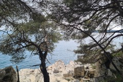 Ile Sainte Marguerite