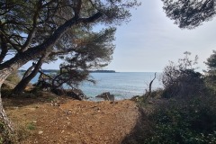 Ile Sainte Marguerite