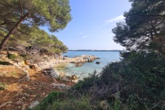 Ile Sainte Marguerite