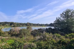 Ile Sainte Marguerite