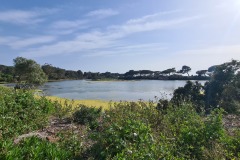 Ile Sainte Marguerite