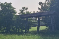 20240622_081009