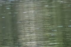 20240522_162851