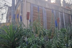 Eze, vue de l'auberge