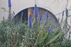 Eze, vue de l'auberge