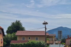 20240623_114725