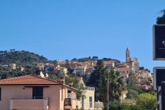 Cervo